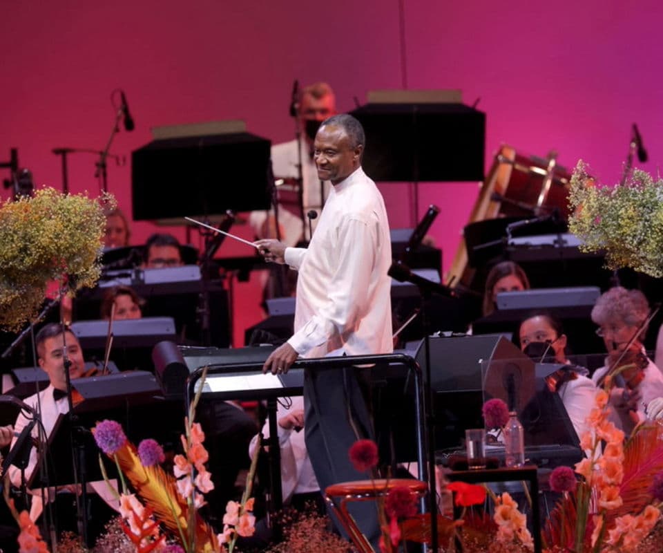 Music from the Films of Wes Anderson