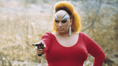 Pink Flamingos poster