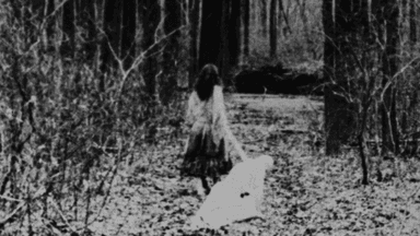 Begotten poster