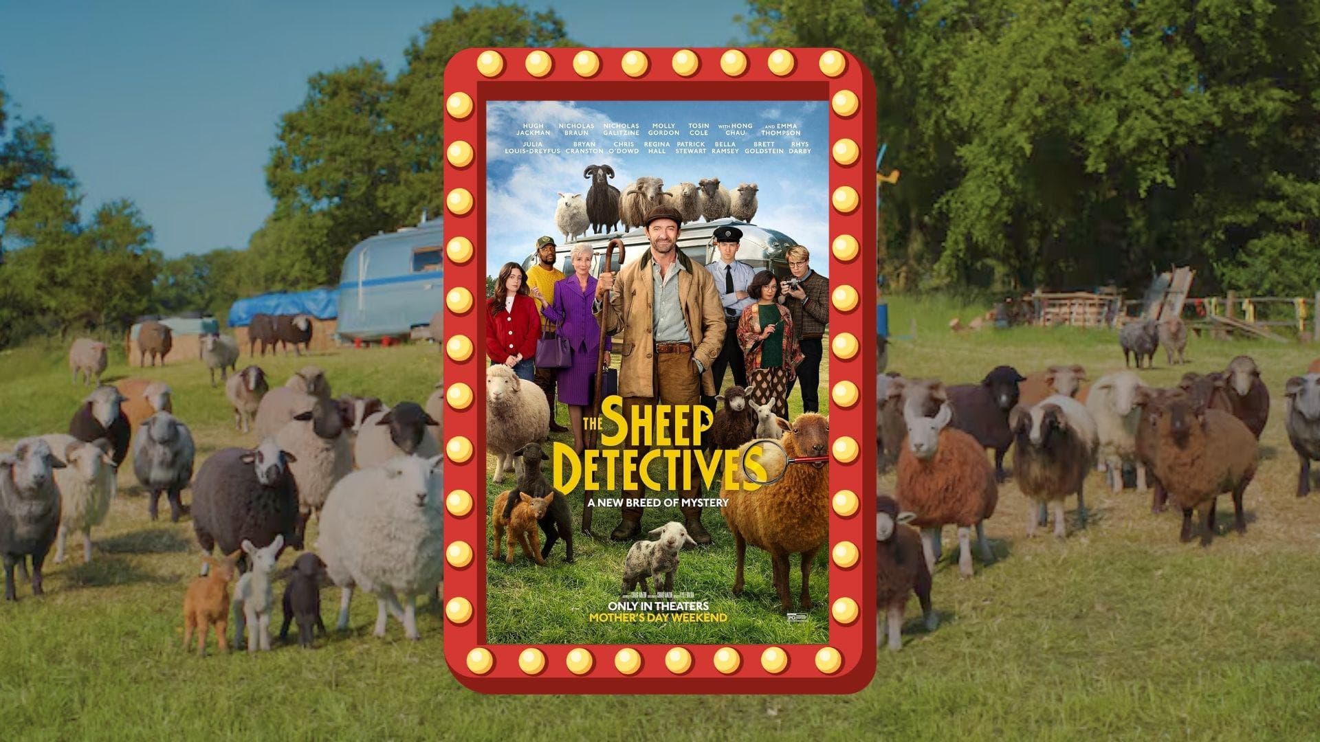 The Sheep Detectives