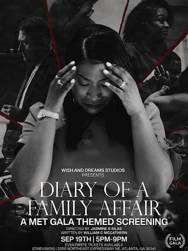 Diary of a Family Affair poster