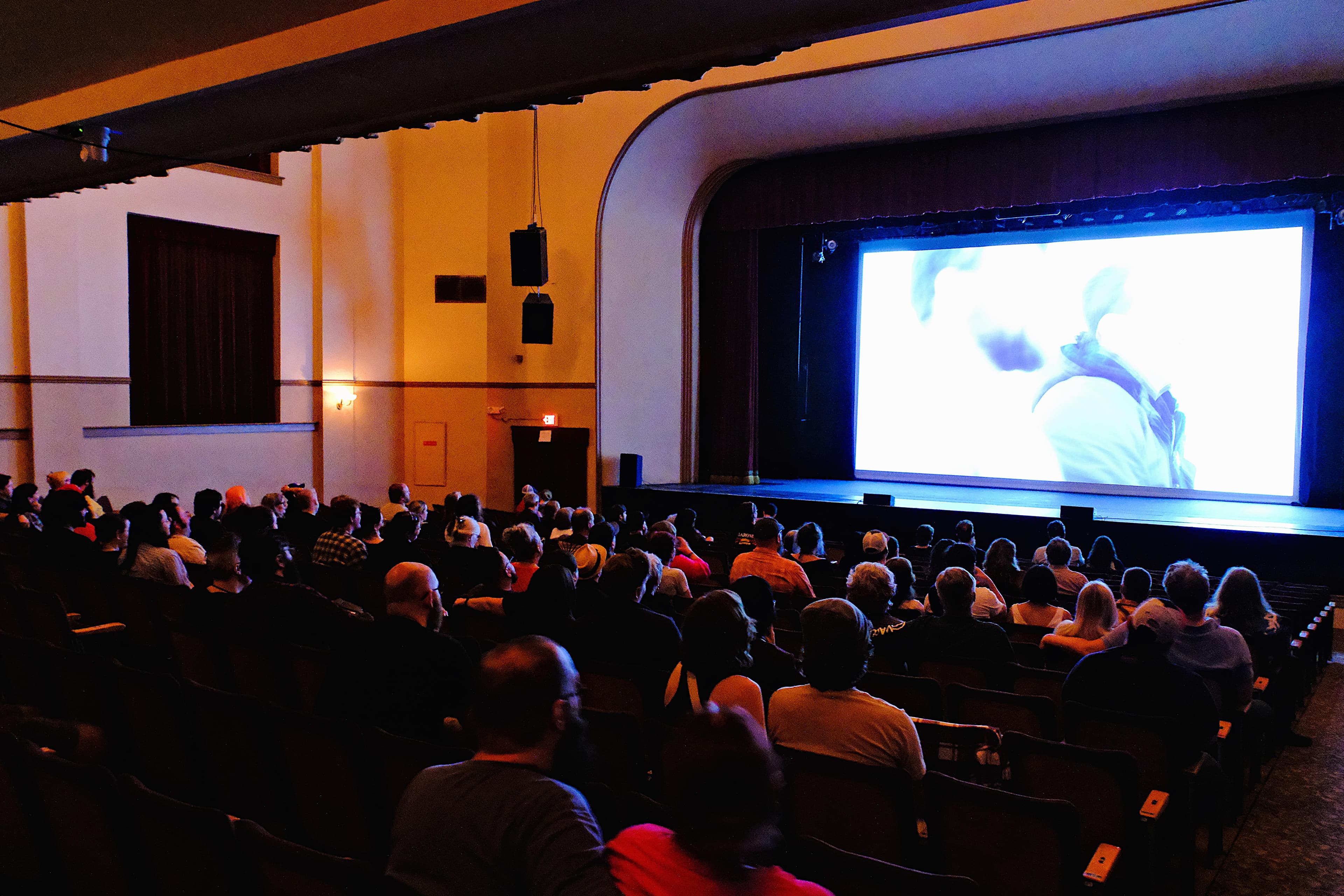 2026 Nightmare in the Ozarks Film Festival