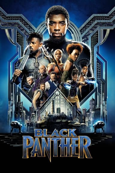 Black Panther In Concert poster