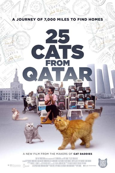 25 Cats From Qatar poster