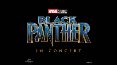 Black Panther in Concert poster