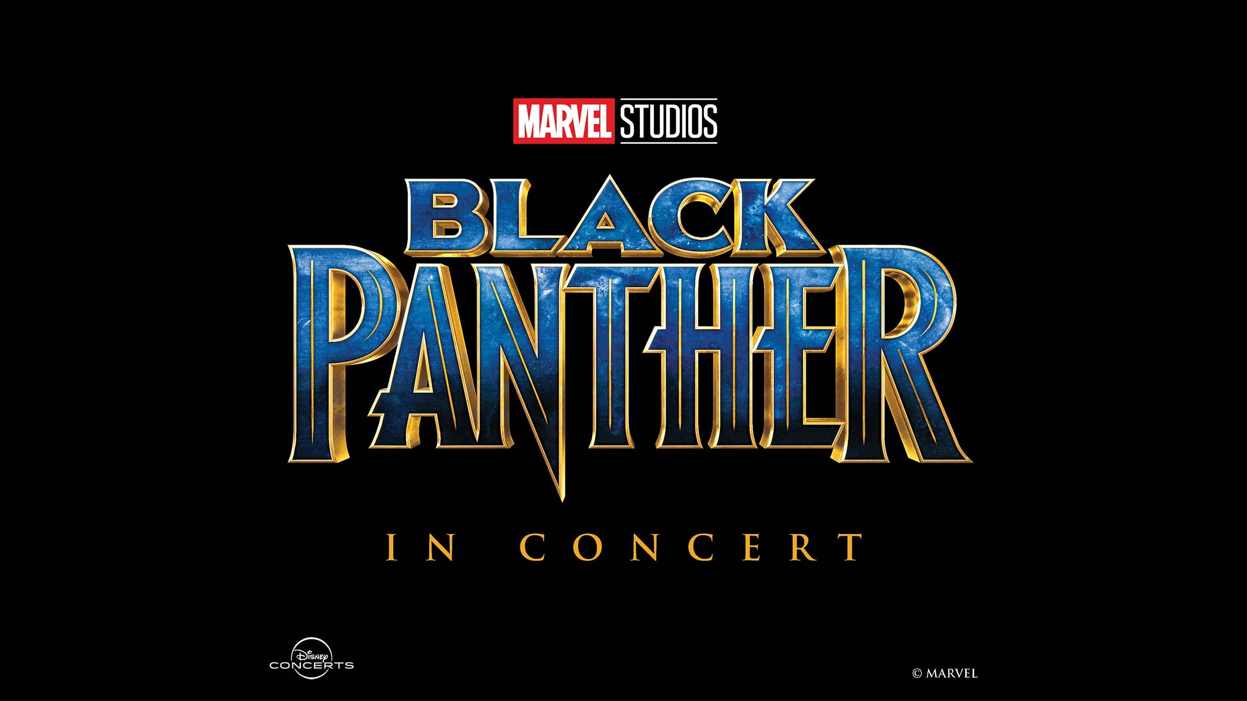 Black Panther In Concert
