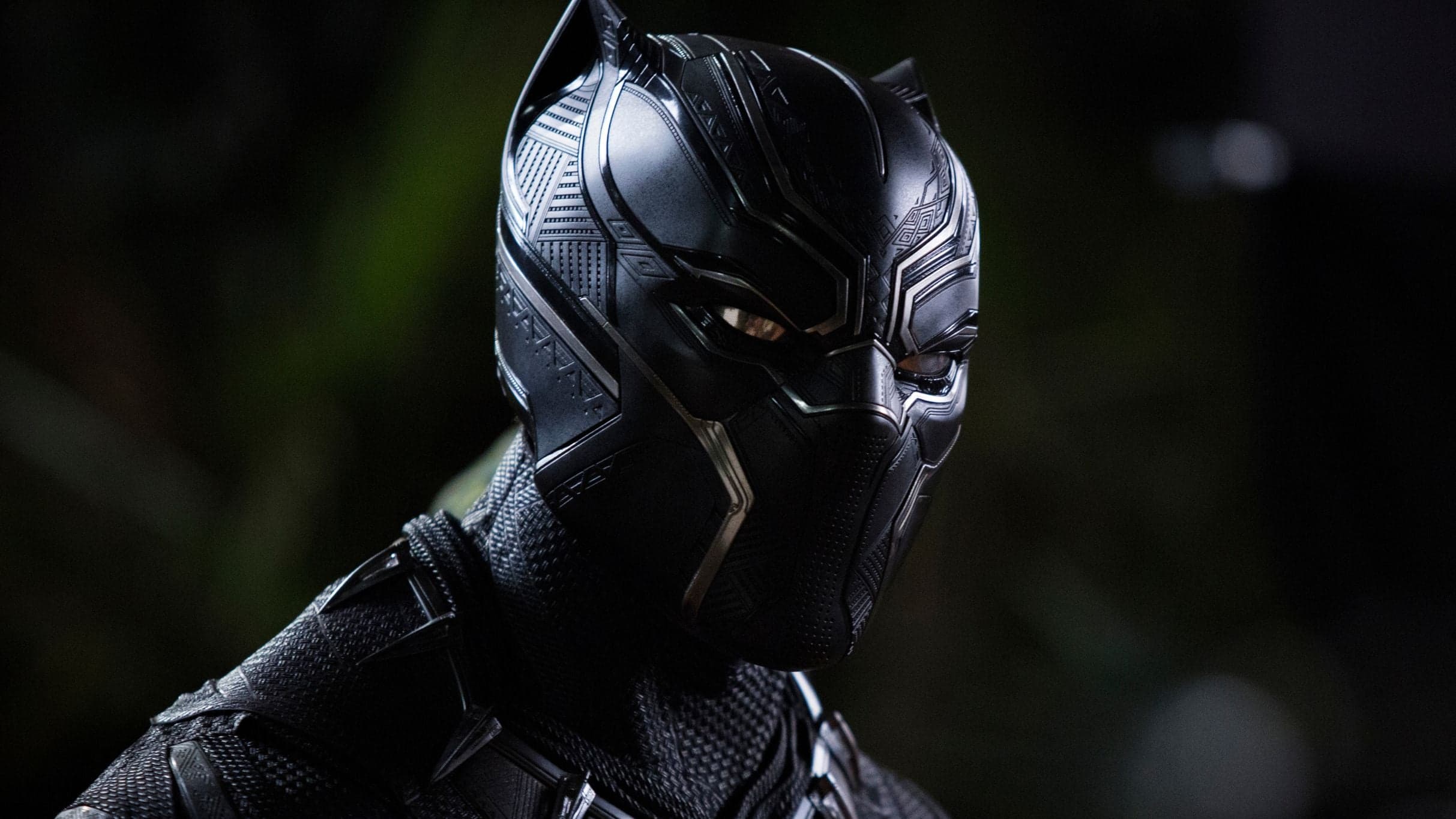 Black Panther In Concert