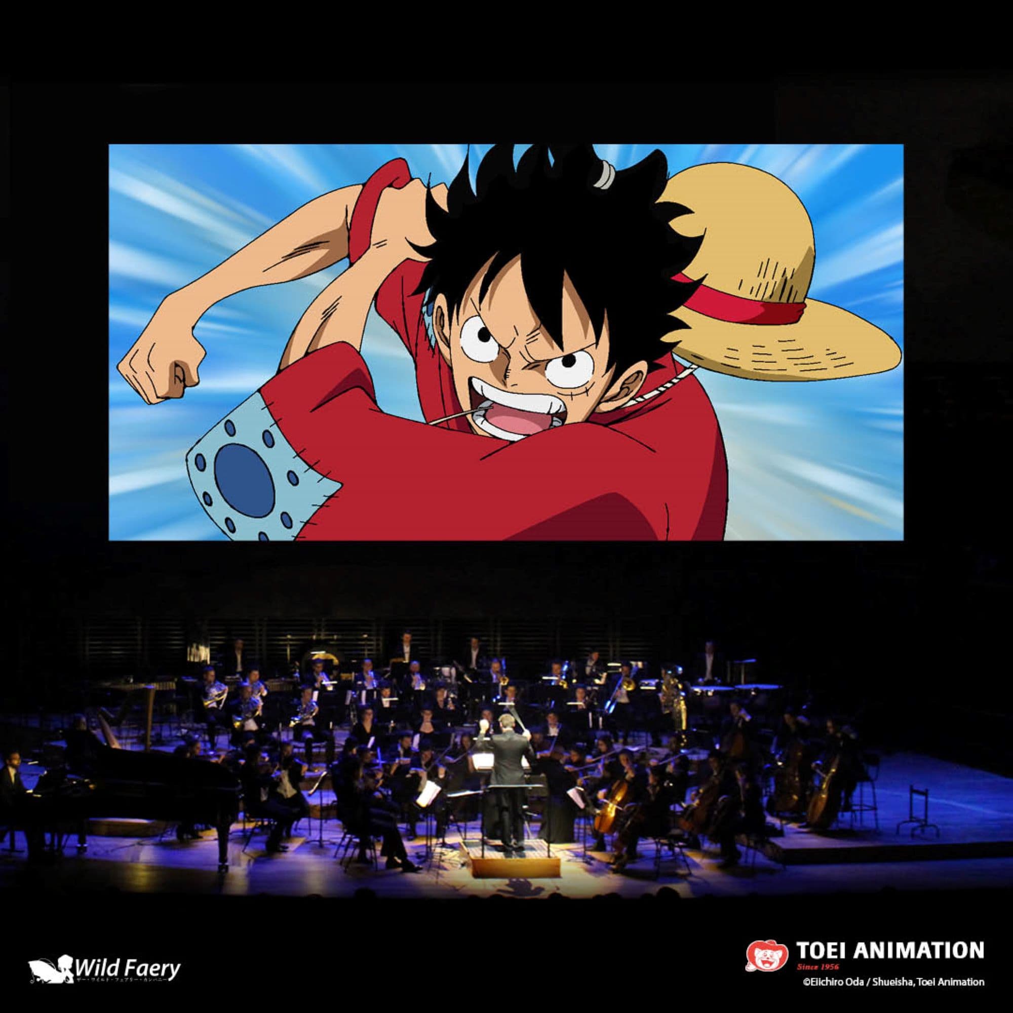 One Piece Music Symphony