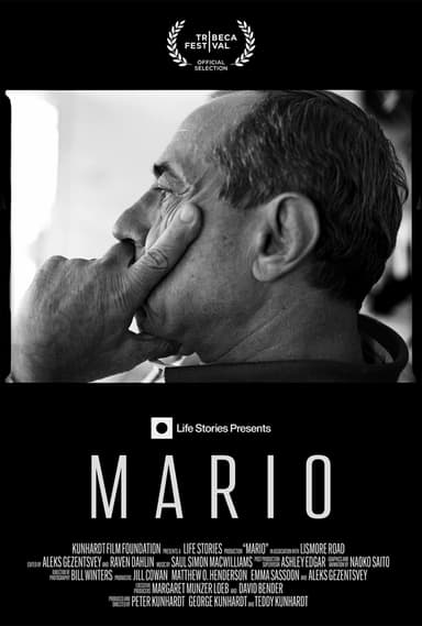 Mario poster
