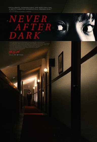 Never After Dark poster