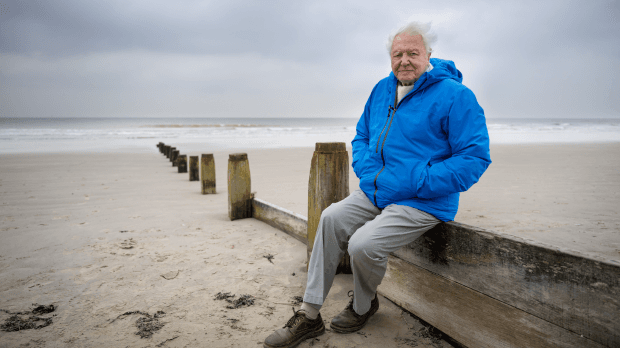 Ocean With David Attenborough