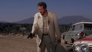 Bring Me The Head Of Alfredo Garcia poster