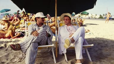 The Birdcage poster