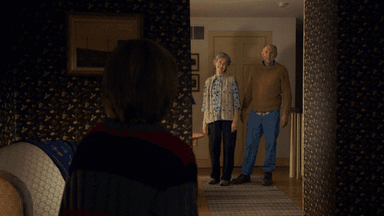 The Power of Paranoia: THE VISIT / TRAP poster