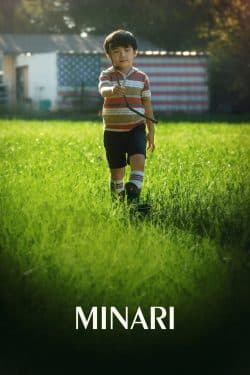 Minari poster