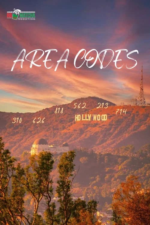 Area Codes poster