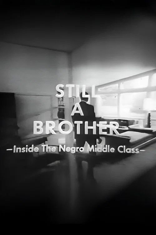 Still a Brother: Inside the Negro Middle Class and in the Company of Men