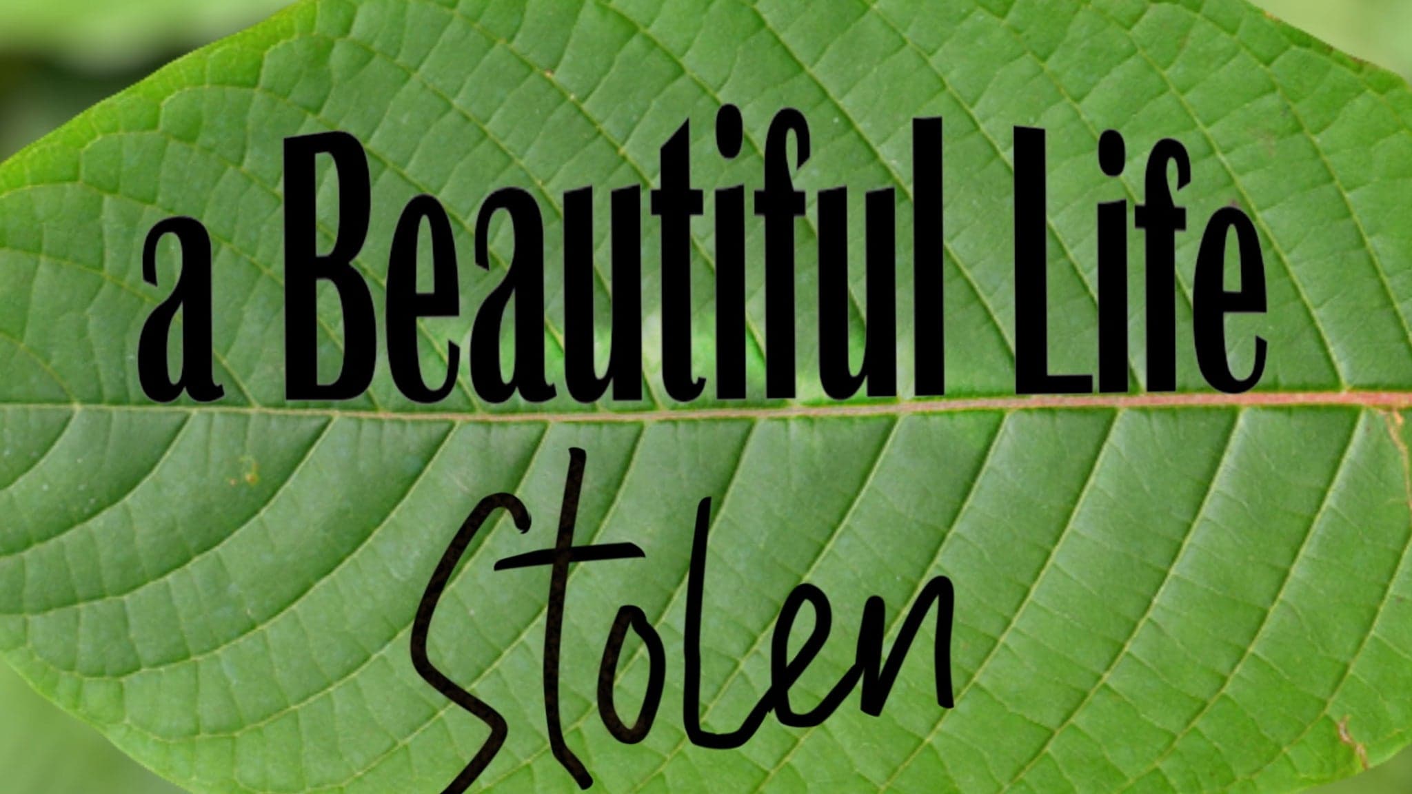 Premiere of Kratom: Side Effects May Include