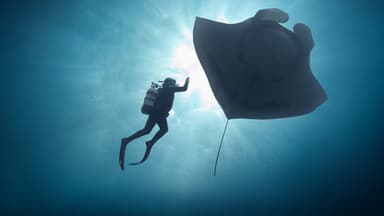 The Last Dive: San Diego Premiere poster