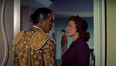 The Magnificent Matador poster