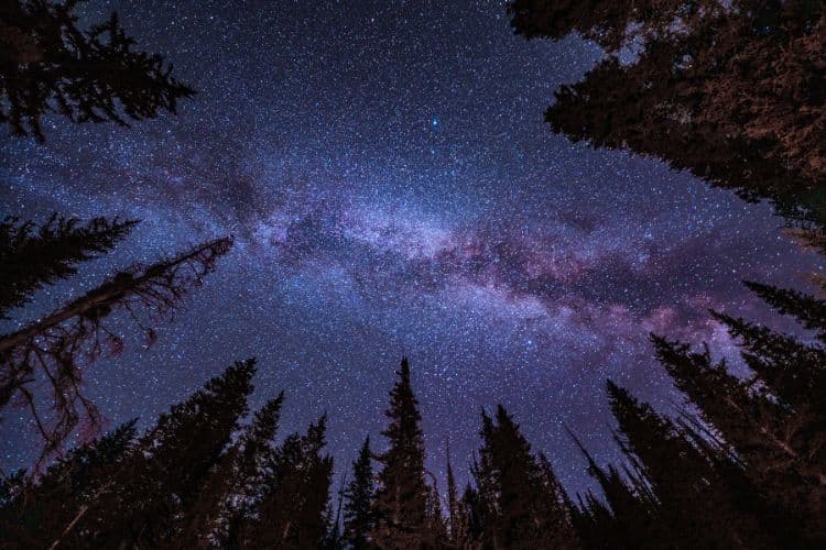 Topilow Pops: The Final Frontier